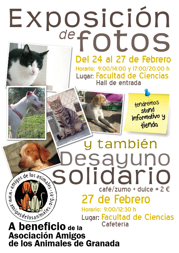 amigosanimales3