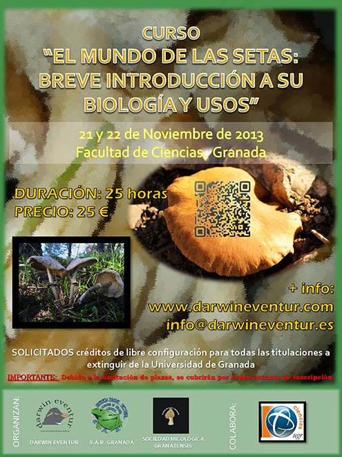 cartel_setas_v2