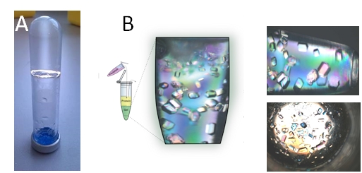 fig1hidrogeles