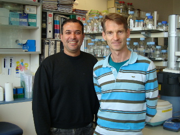 investigadoresprebioticos