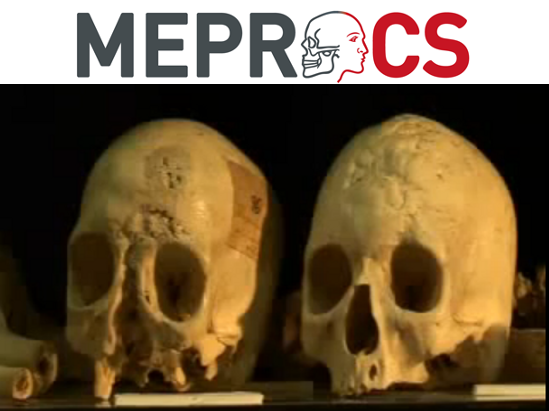 meprocs