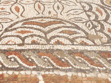 seccionmosaicomondragones