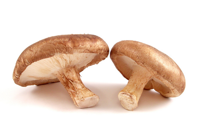 shitake