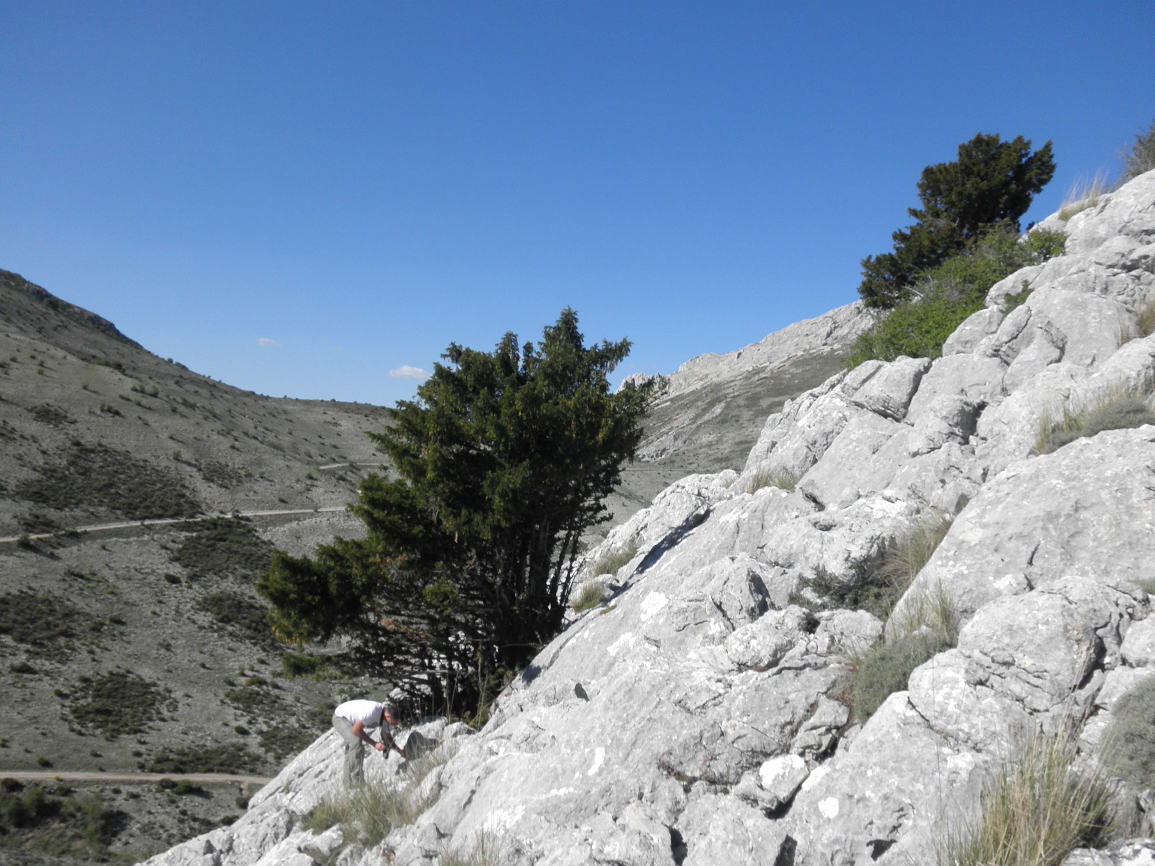 sierraarana02